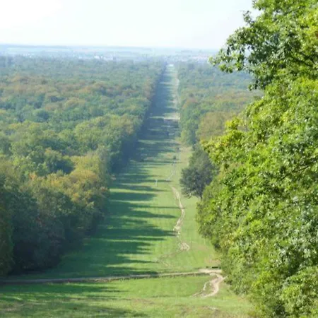 Hébergement de vacances La Maison D'aurore Et Patrice - Jacuzzi Couvert Et Jardin Privés *