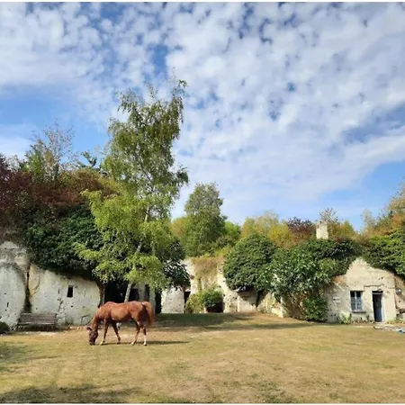 La Maison D'aurore Et Patrice - Jacuzzi Couvert Et Jardin Privés